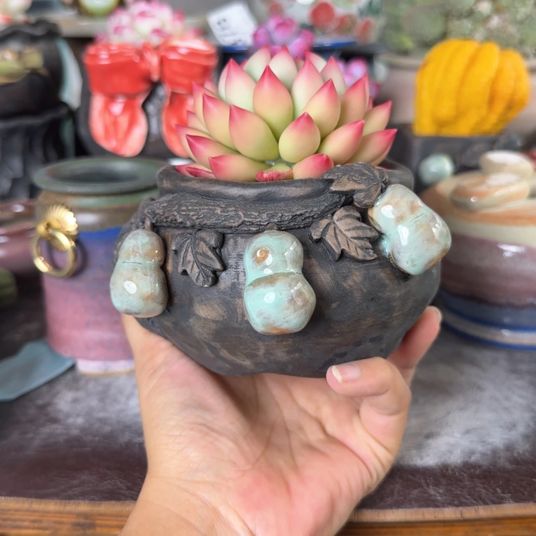 重庆小燕子欢迎大家