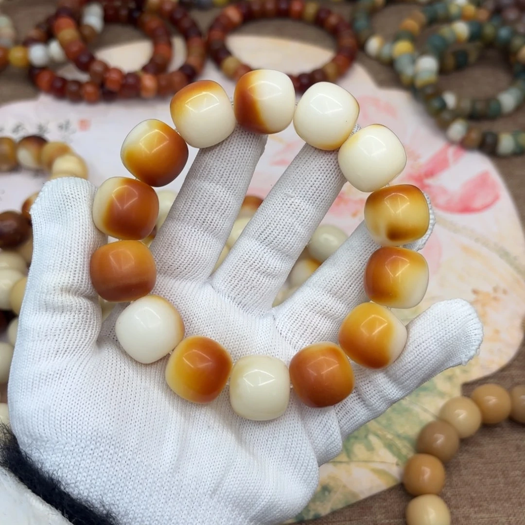 吊坠菩提根/象牙果19干磨瑕疵落地果616