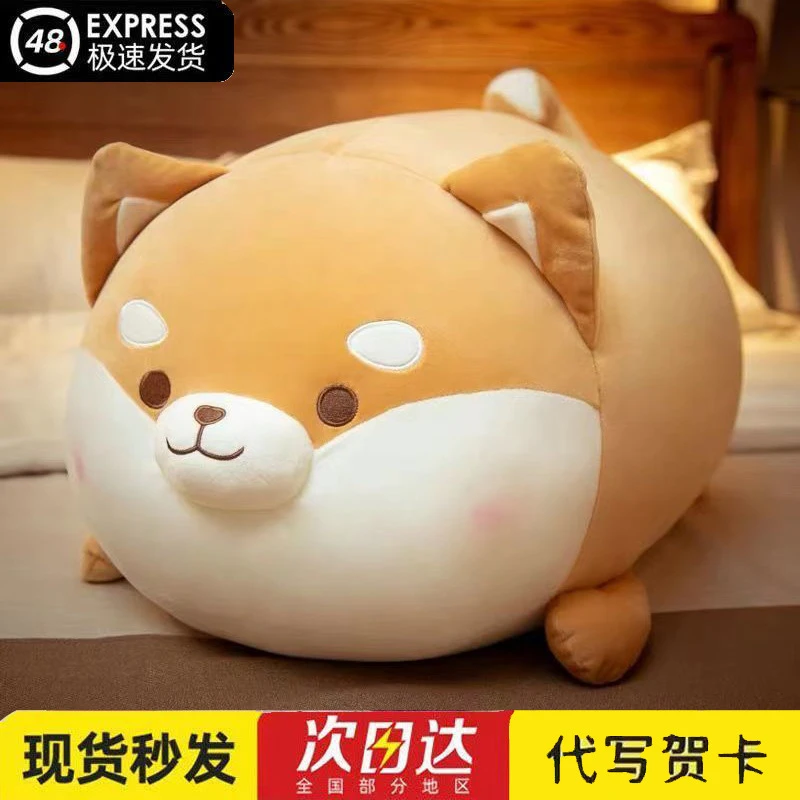 14周岁以上可爱柴犬柯基公仔胖狗狗抱枕毛绒玩偶睡觉床上大枕头情