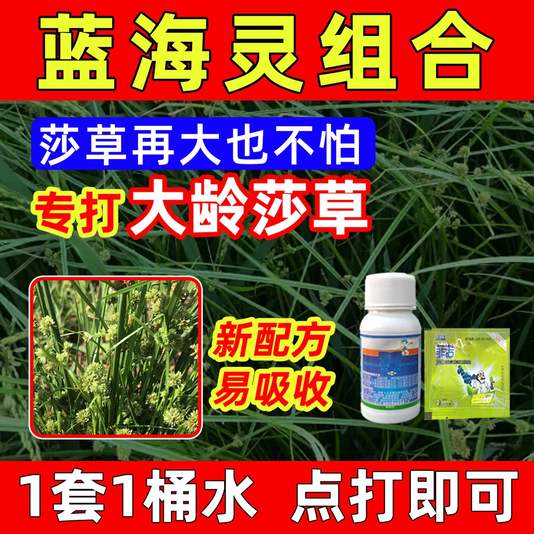 蓝海灵大豆水稻花生田莎草三棱草升级方案有机水溶肥