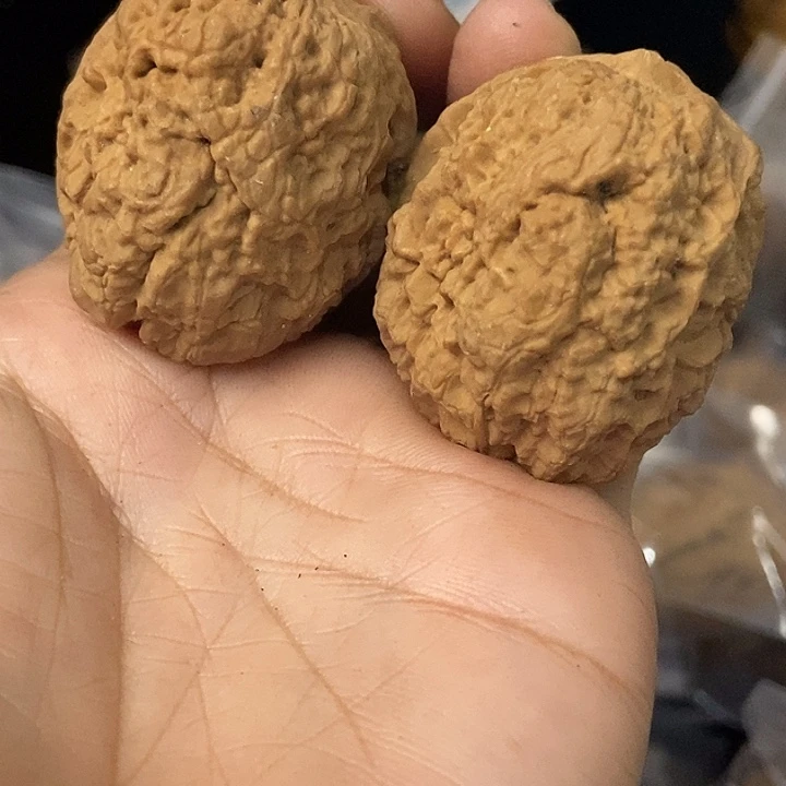 文玩核桃把件云南铁核桃基地36