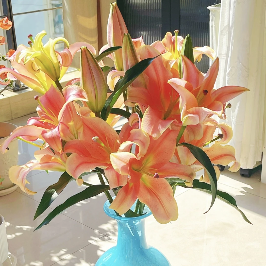 【一见钟情】0度以下一定要拍保温，否则冻坏不售后