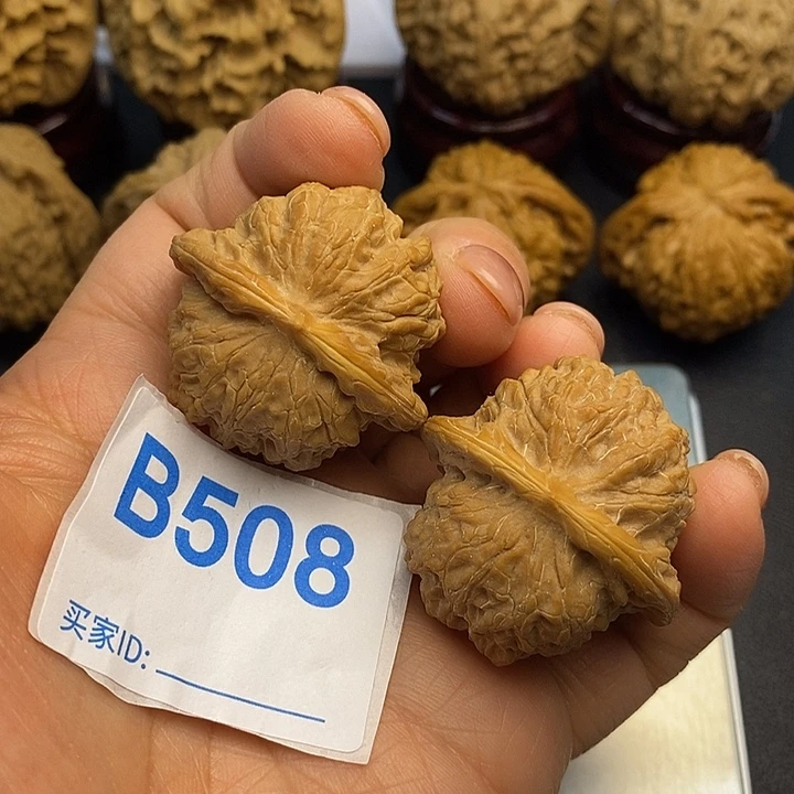 核桃血麒麟3.6，有修
