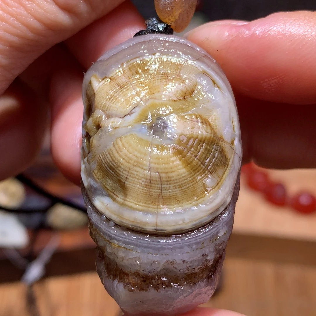 未镶嵌玛瑙/玉髓珠宝半成品