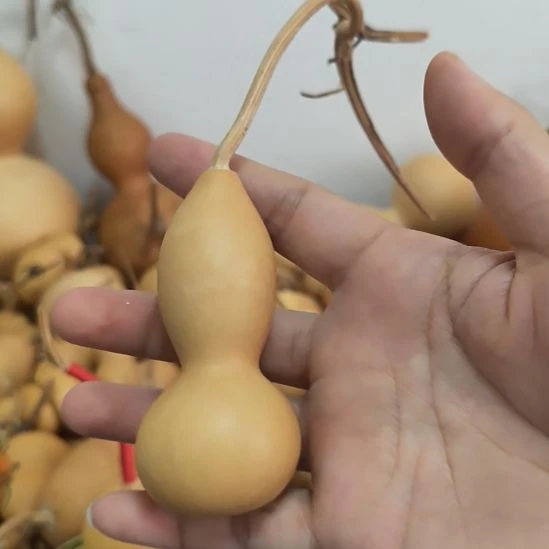 无暇纯天然葫芦直播专用链接