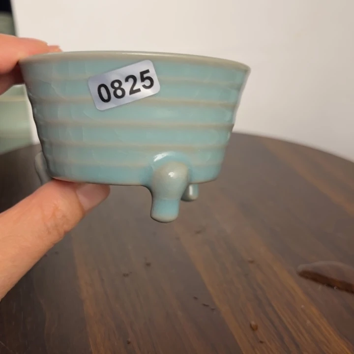 摆件弦纹弦纹杯jkkkkkkkkkkk