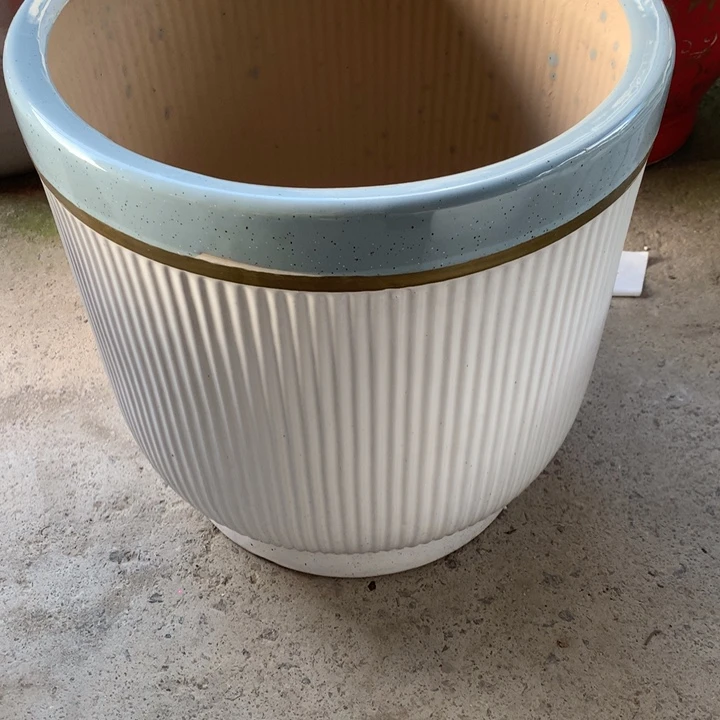 花盆里的小猫咪们都好可爱啊哈哈哈哈哈哈哈哈哈