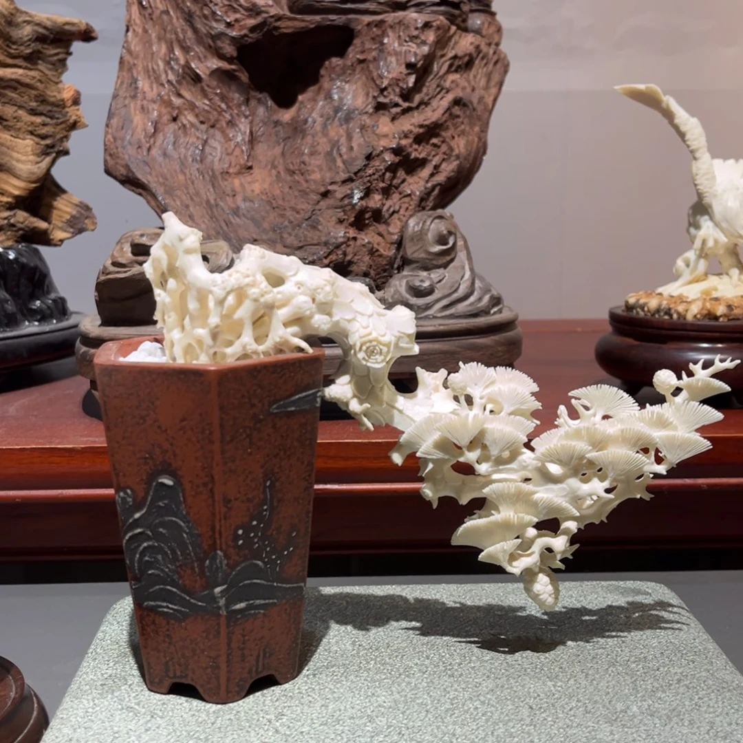 柏木（崖柏）心****雷鹿角工艺品摆件