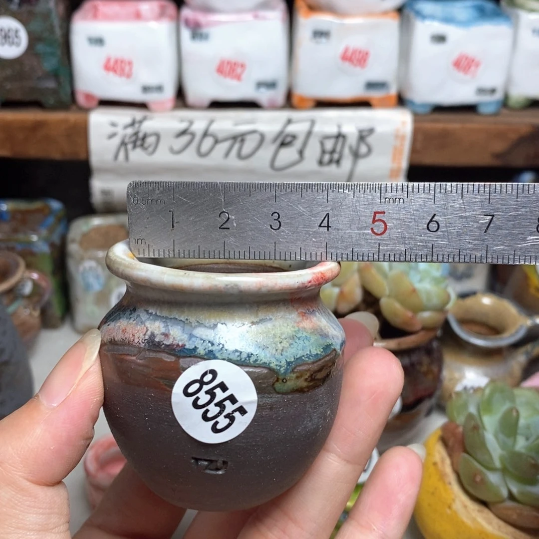 拍5送一个9· 9元的盆子