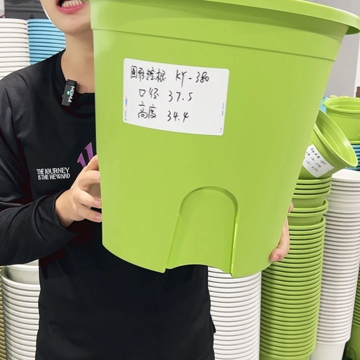 正品圆控口38高34果绿色3支无托