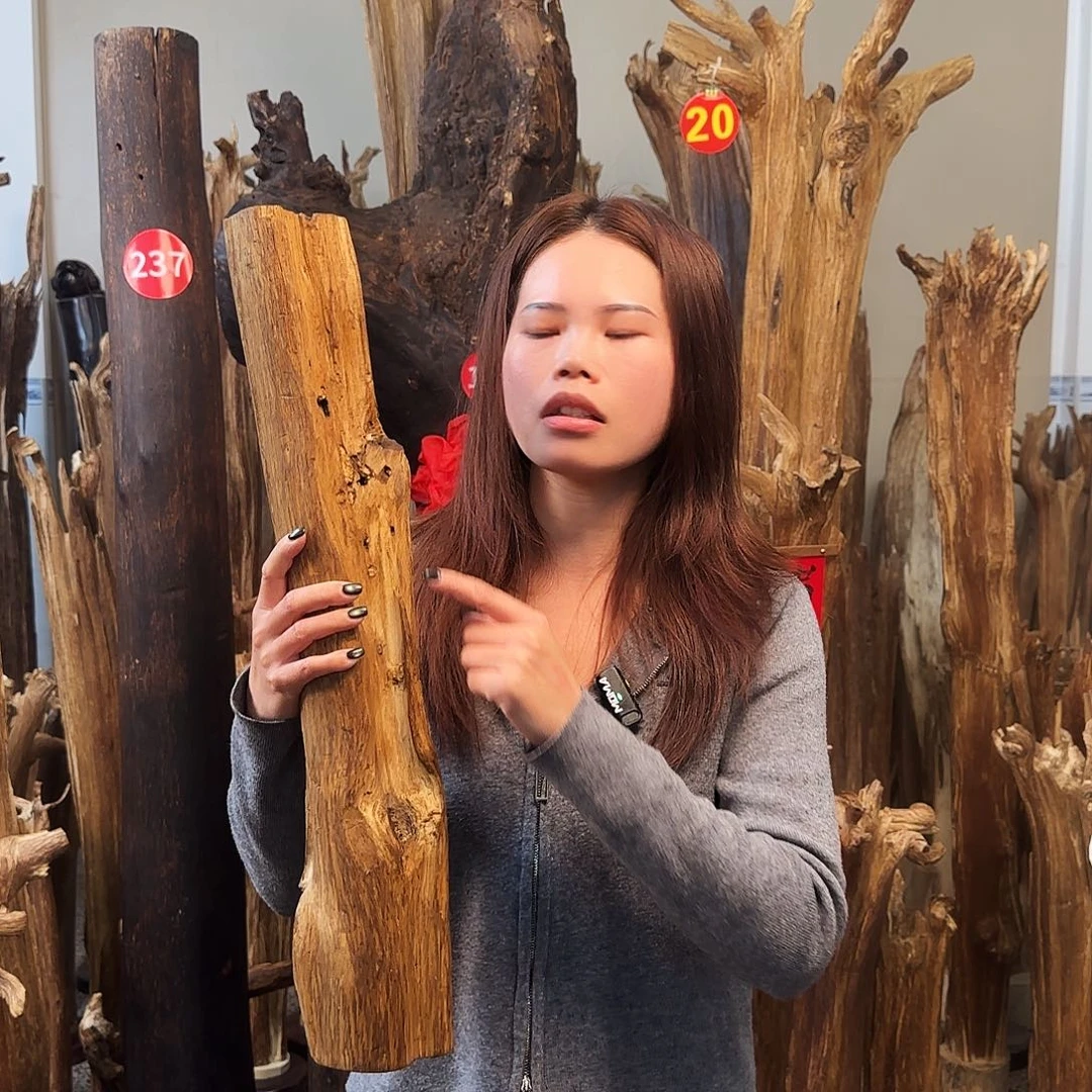 沉香摆件天然沉香原木摆件➕底座