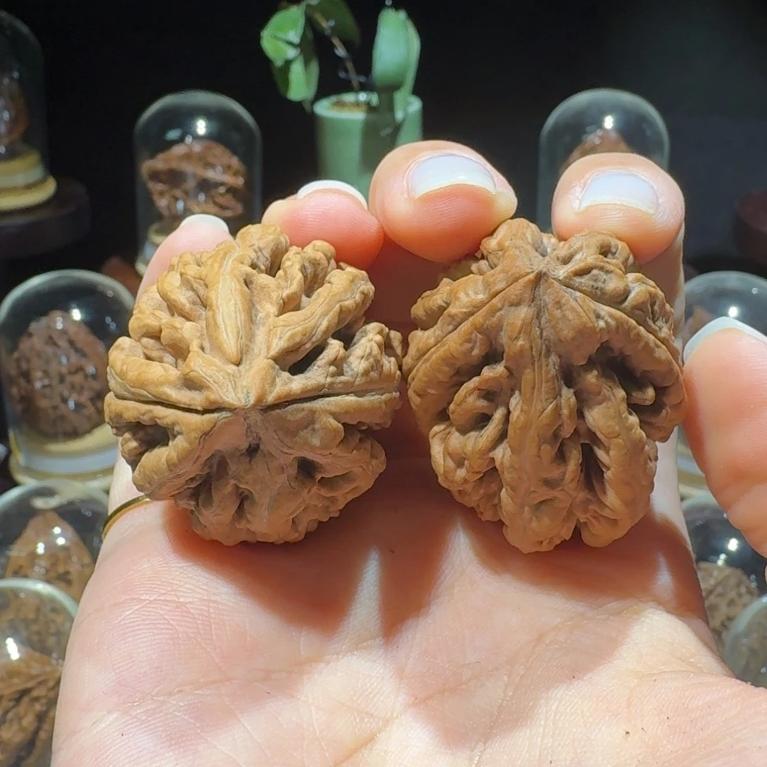 把件文玩核桃蝴蝶豆火焰