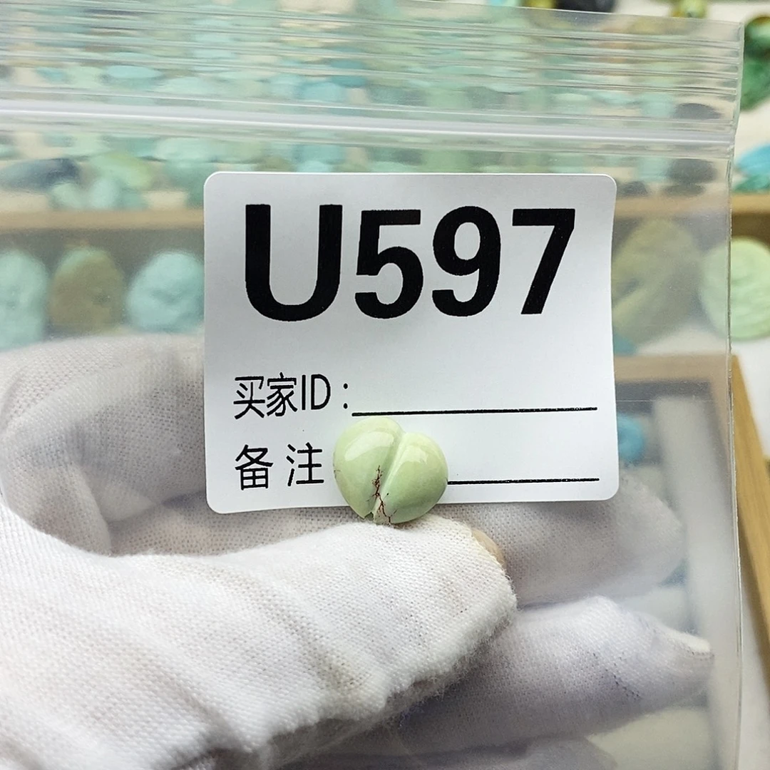 未镶嵌绿松石配饰
