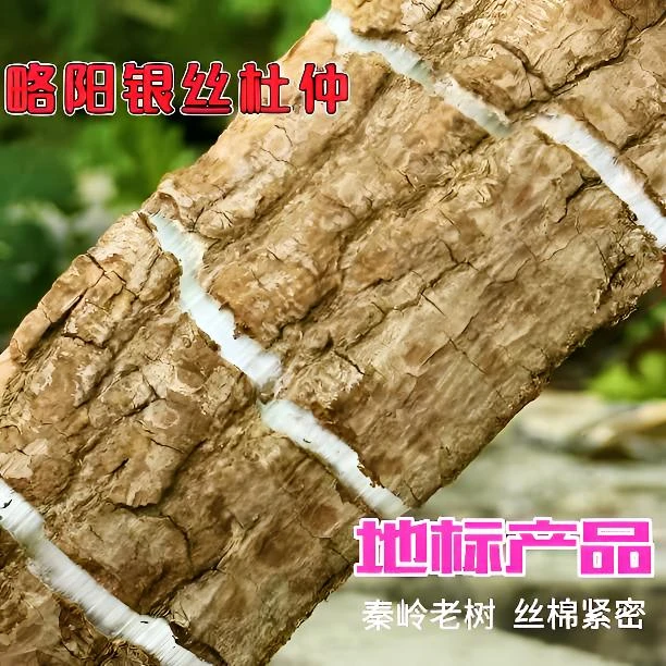 【略阳杜仲/泡茶/泡酒/煮水/煲汤】国家地标特产厚皮秦岭老树杜仲皮