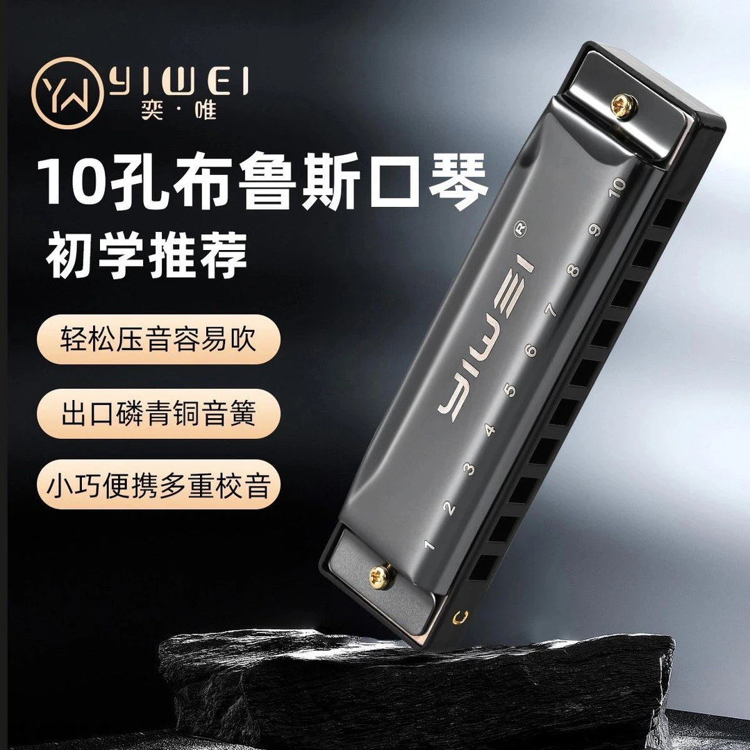 奕唯布鲁斯口琴paddy10孔成人自学儿童专业初学者演奏乐器入门