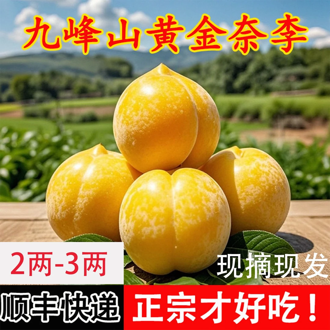 【2-2.5两】正宗韶关九峰黄金奈李12个人工精选黄金奈李升级礼盒