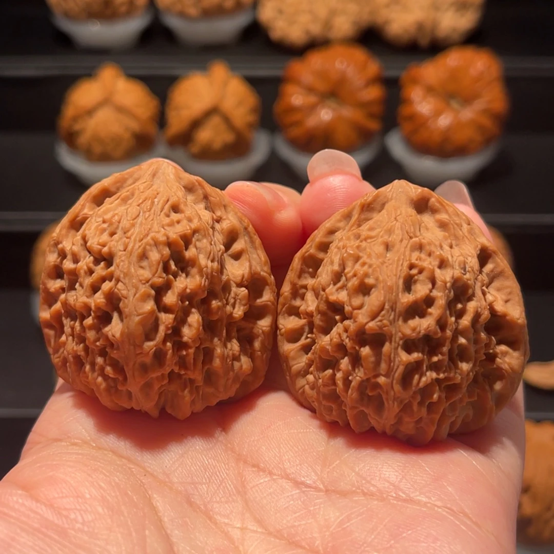 全品，精品，40南疆063