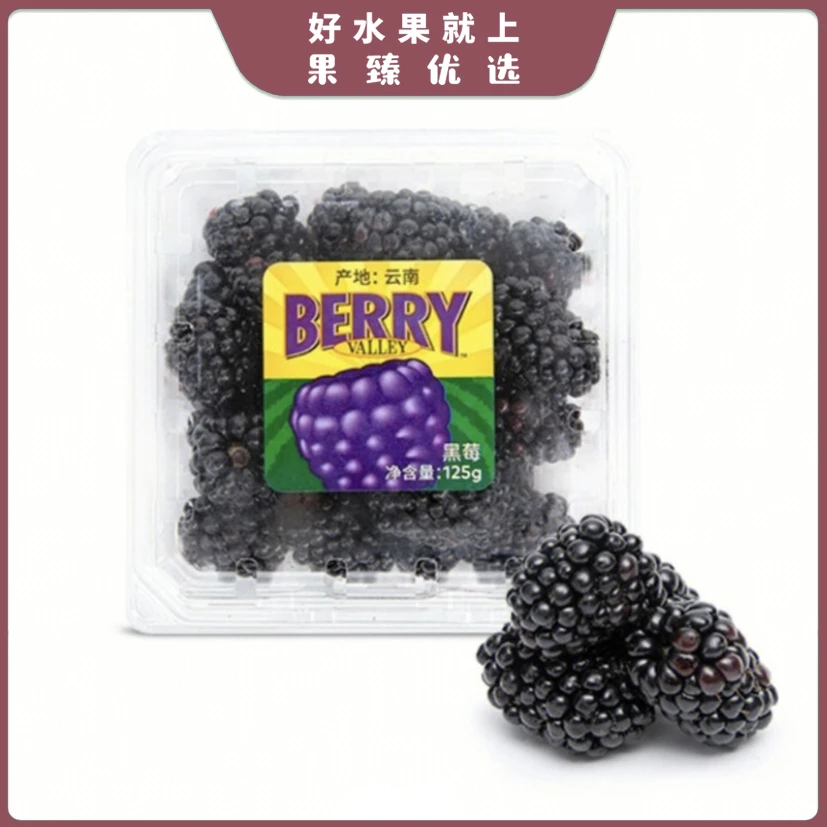 怡颗莓 · 黑莓（盒）约125g