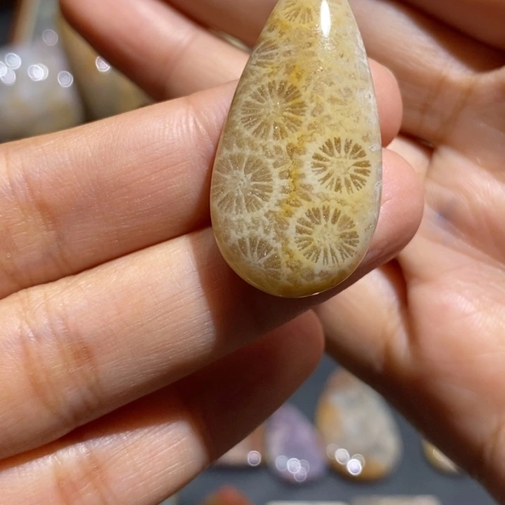 【闪购商品】未镶嵌珊瑚玉硅化玉