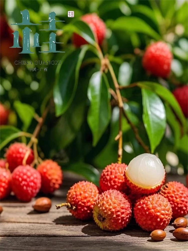 广西新鲜桂味当季水果现摘现发荔枝正宗老树桂味自带果香新鲜包邮