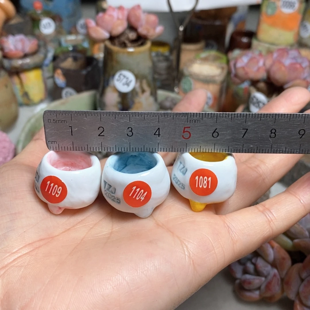 处理的，不退不换的