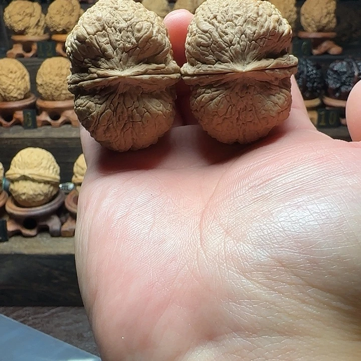 木质类经典名款饕餮46尺