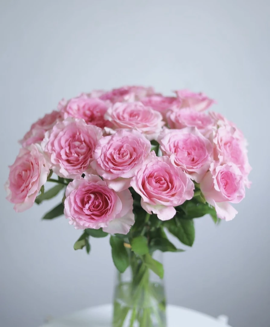 洛神云南鲜花基地直发（包邮）