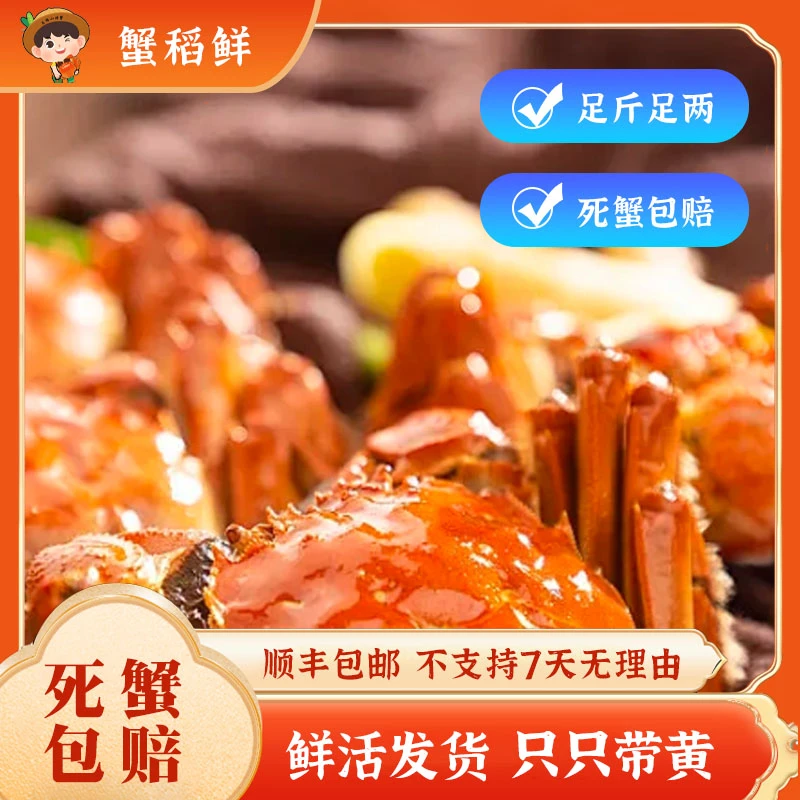 正宗盘锦稻田蟹1两母（0.9-1.2）3斤