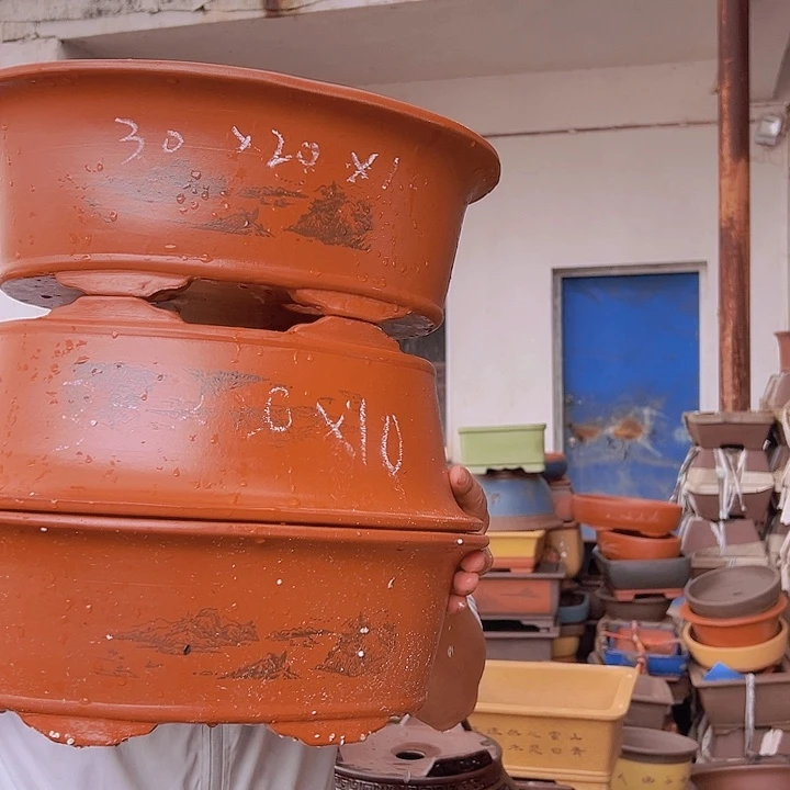 紫砂花盆紫砂花盆