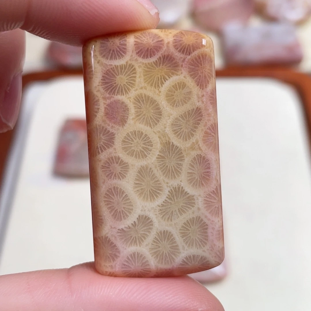 【闪购商品】未镶嵌吊坠(赠链)硅化玉凋*