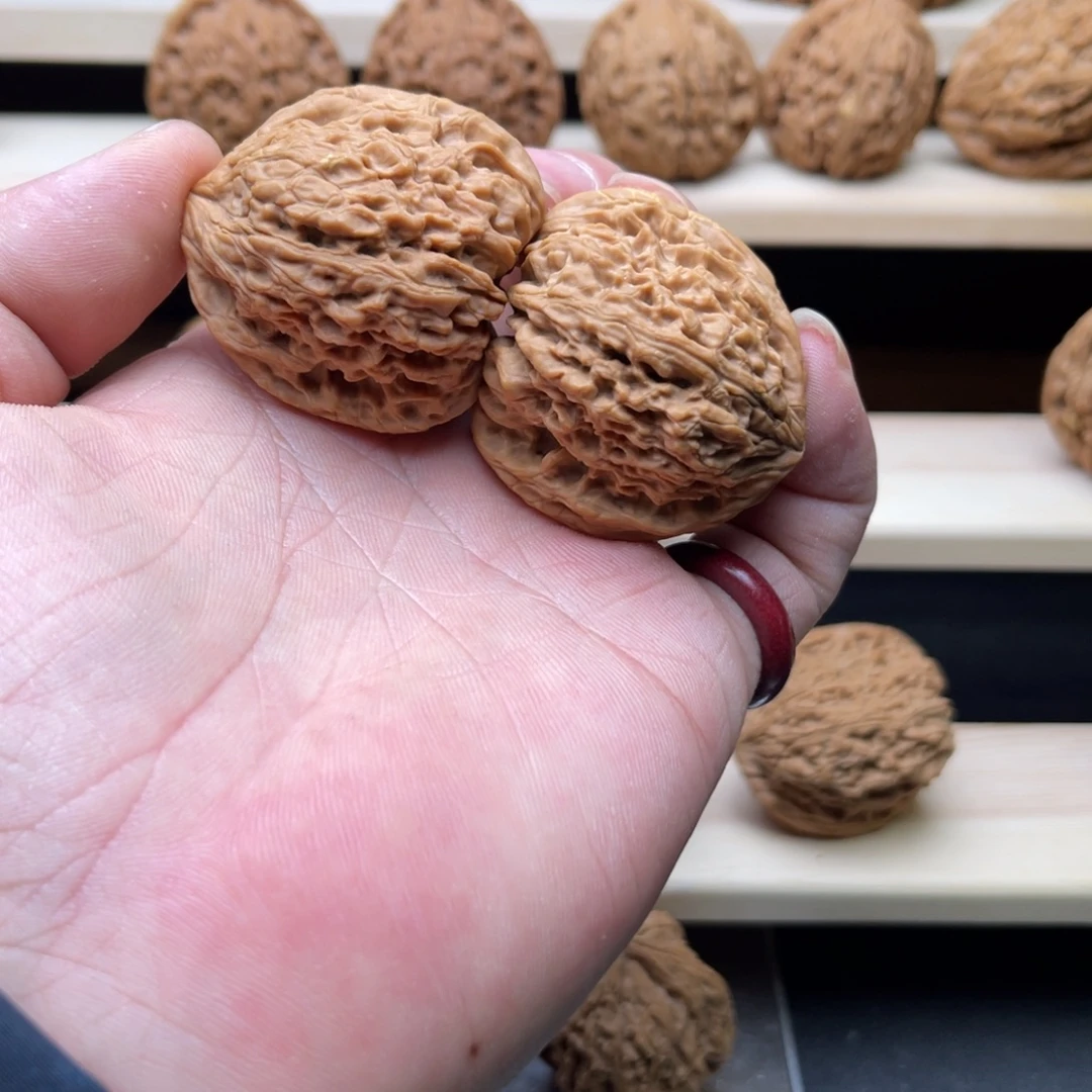 文玩核桃把件涿鹿