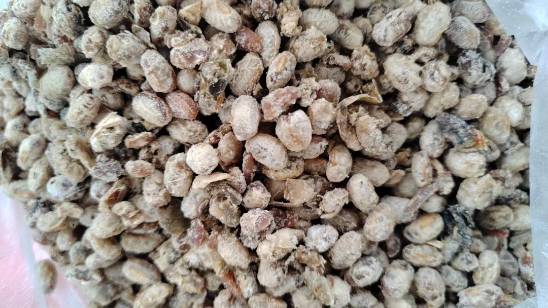 农家阿姨自酿豆食（黄豆）