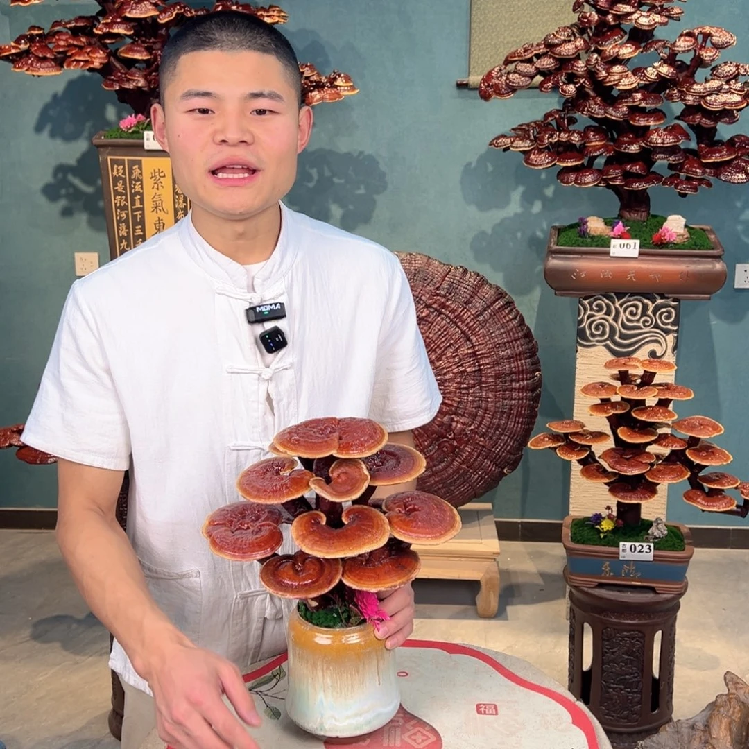 无花朵88888888888