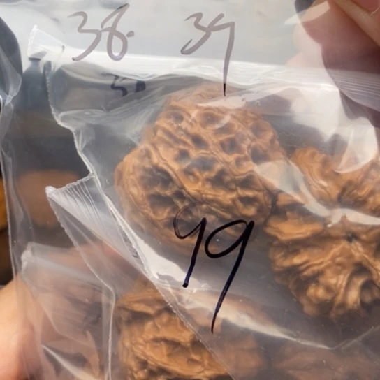 桃核吊坠八*～99苹果圆狮子