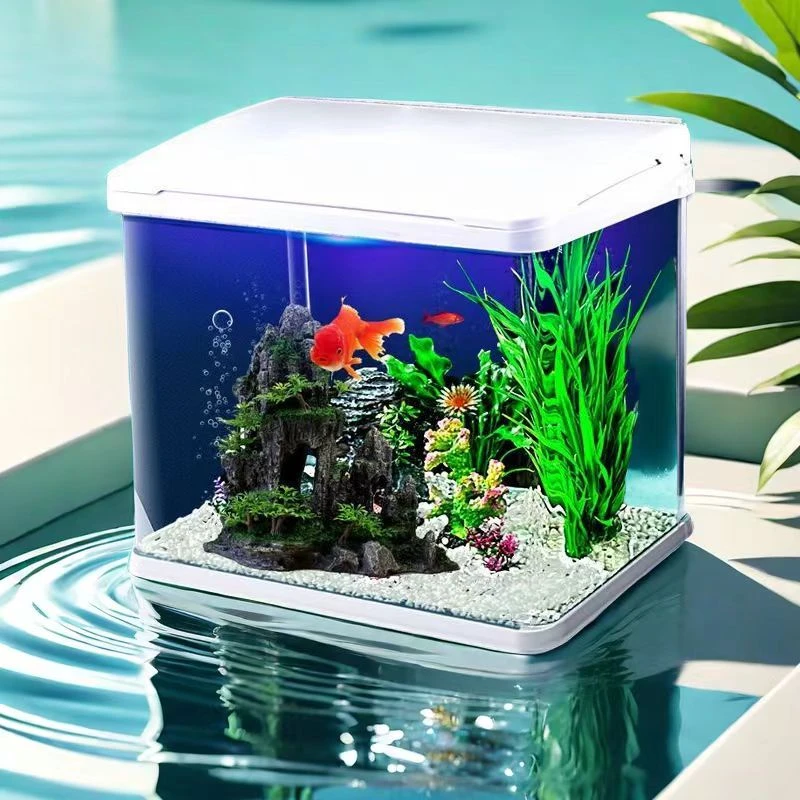 小型免换水新款金鱼缸懒人缸水族箱循环生态缸生态鱼缸办公室鱼缸