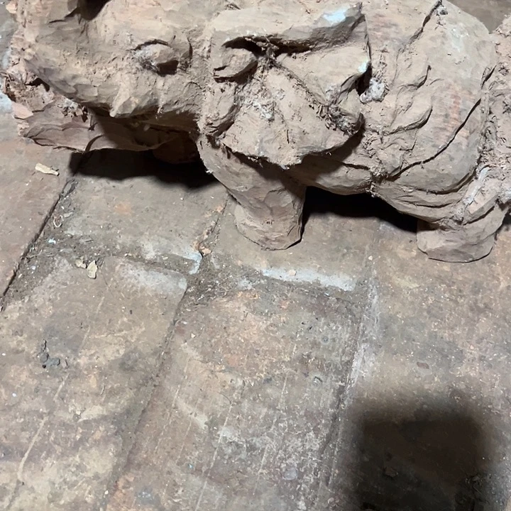 香榧木9999999999999