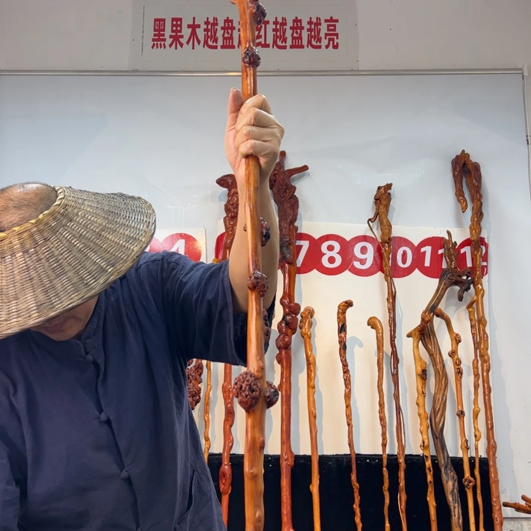 卐***卐其他黑果木黑果木170