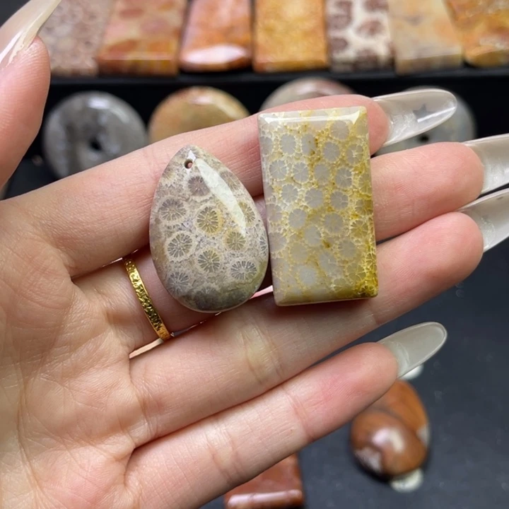 未镶嵌吊坠硅化珊瑚（珊瑚玉）