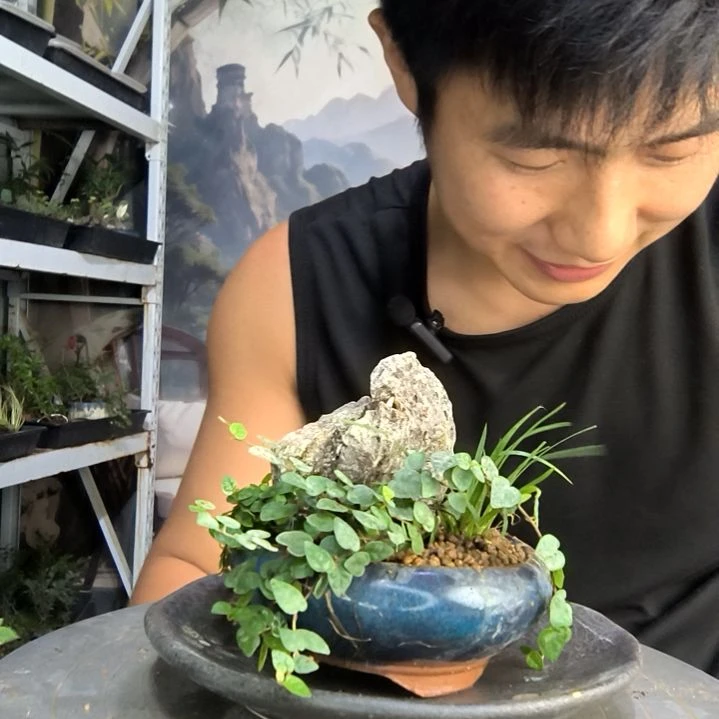 M****y中青园艺一物一拍111