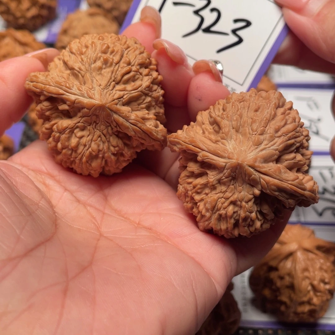 把件文玩核桃313号满天星大47