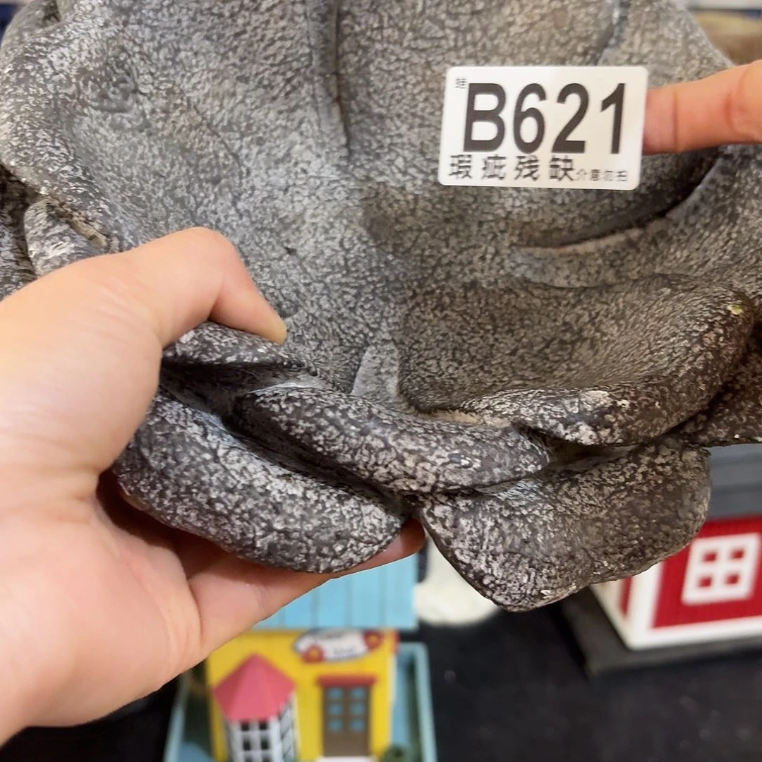 核桃木/黑胡桃（胡桃木）