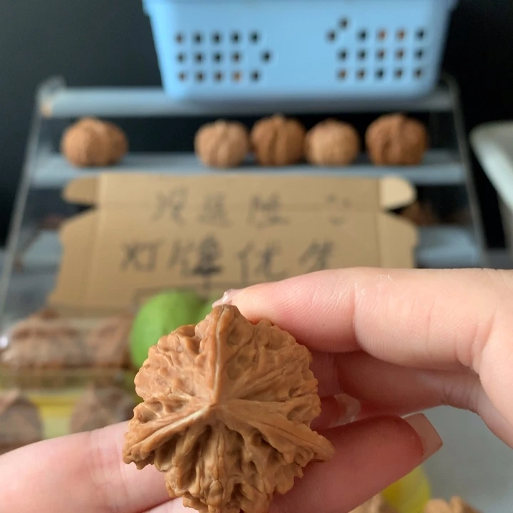 ****吊坠文玩核桃异形单只