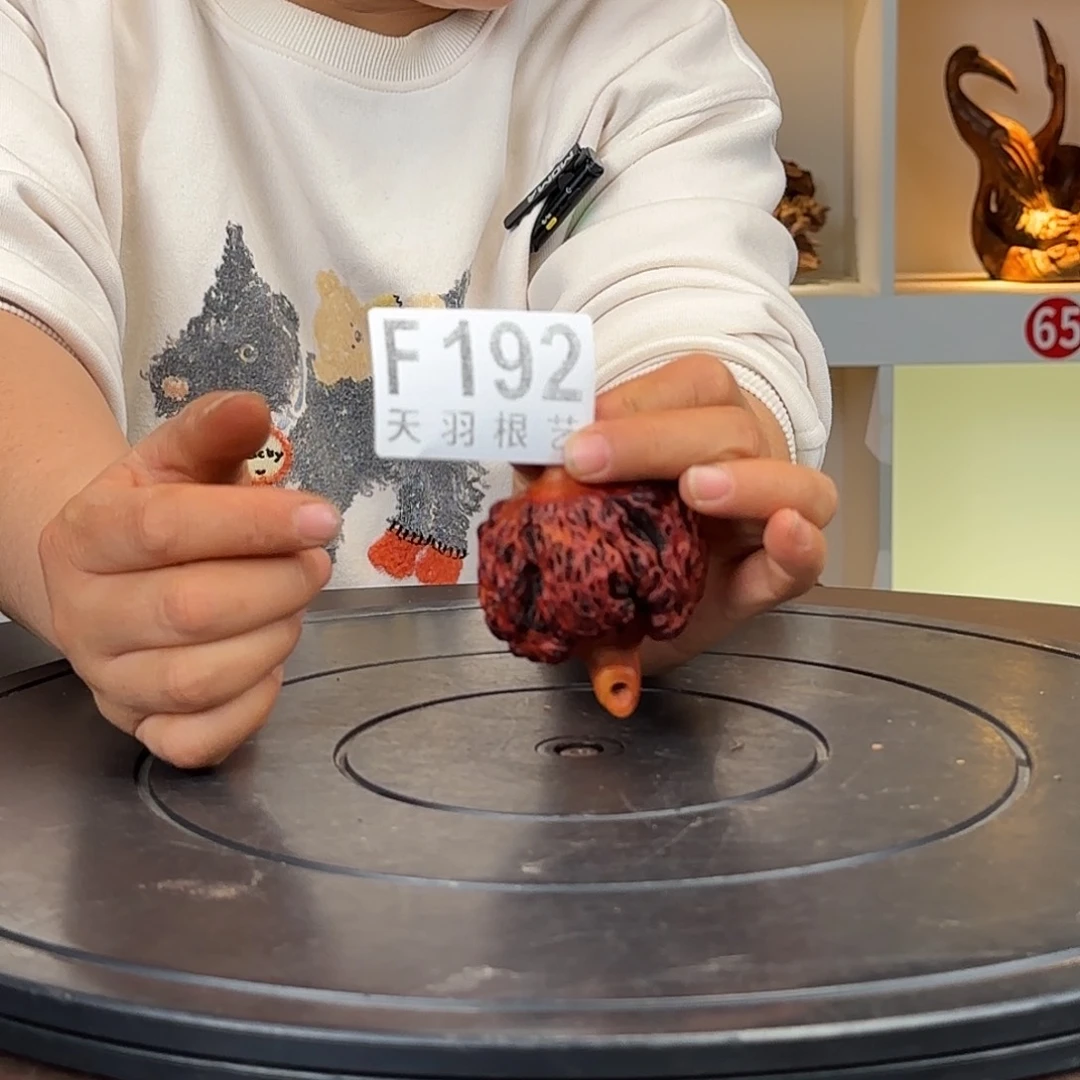 木木***贩192云南黑果木手把