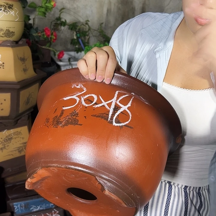30紫气东来花盆花盆