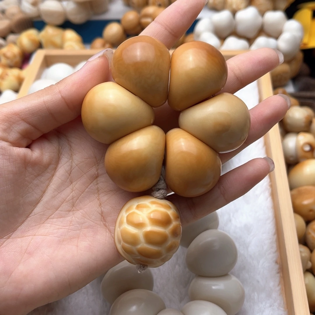 吊坠菩提根/象牙果卡31+