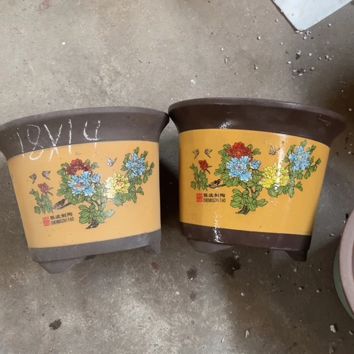 周深周深周深周深周深