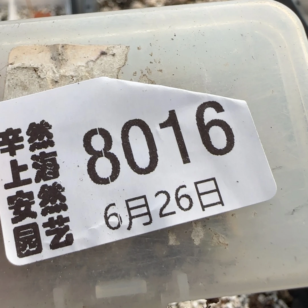 沐***づ6.26。哦泡4。8016。