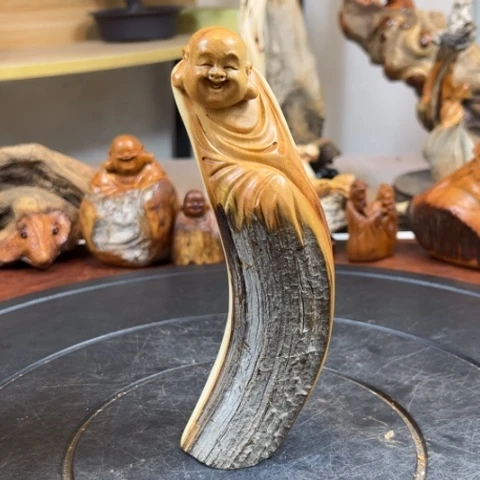 柏木（崖柏）把b宝宝就洪洪洪洪洪洪积极