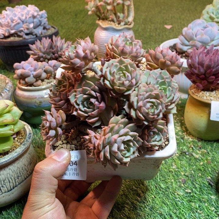 0304啊啊啊啊啊啊啊啊啊啊