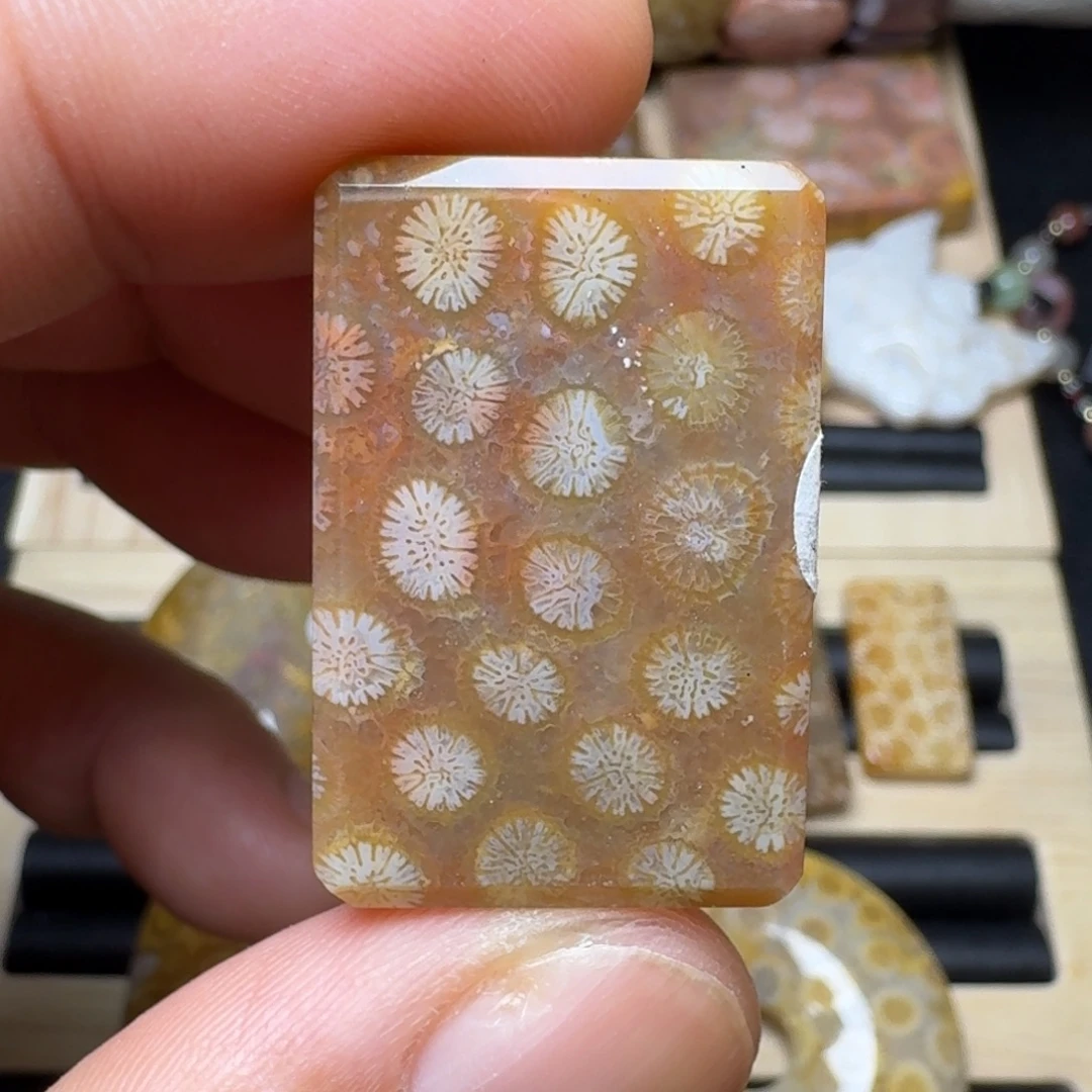 未镶嵌纯天然色有机玉石保真色硅化玉